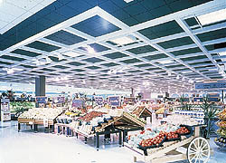 Luxalon Metal Ceiling Systems