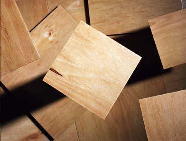 Alder Plywood