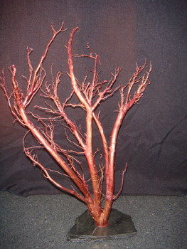 Tree Root Art