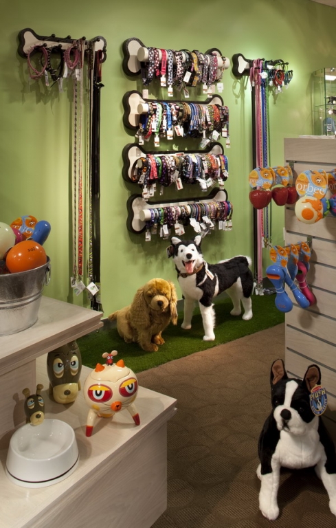 pet boutique  Pet store design, Pet store display, Pet store