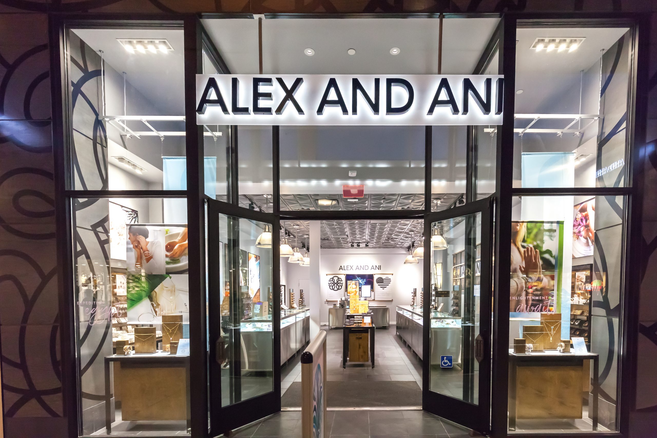 Alex and Ani Files Chapter 11