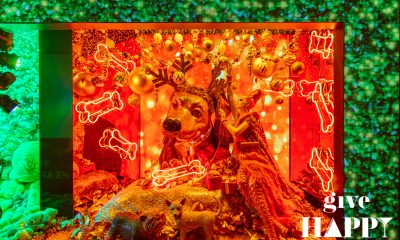 VMSD&#8217;s Holiday Windows Recap Submission Form Now Open