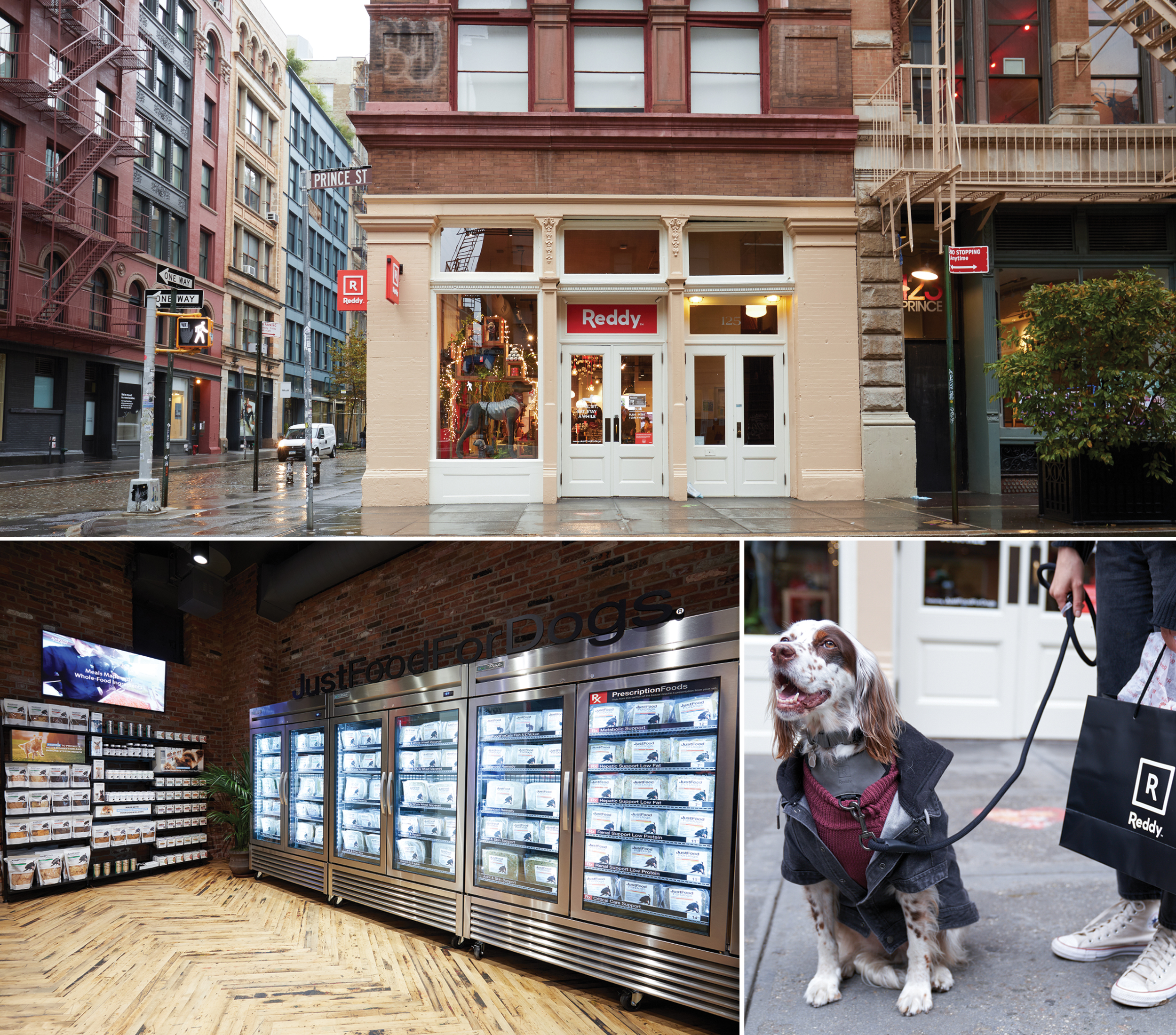 Petco’s latest Reddy concept in New York’s SoHo features apparel and other treats for dogs like collars, clothes and travel accessories.