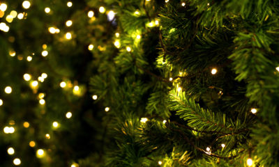 Christmas Tree Shops Launches Liquidation Sales