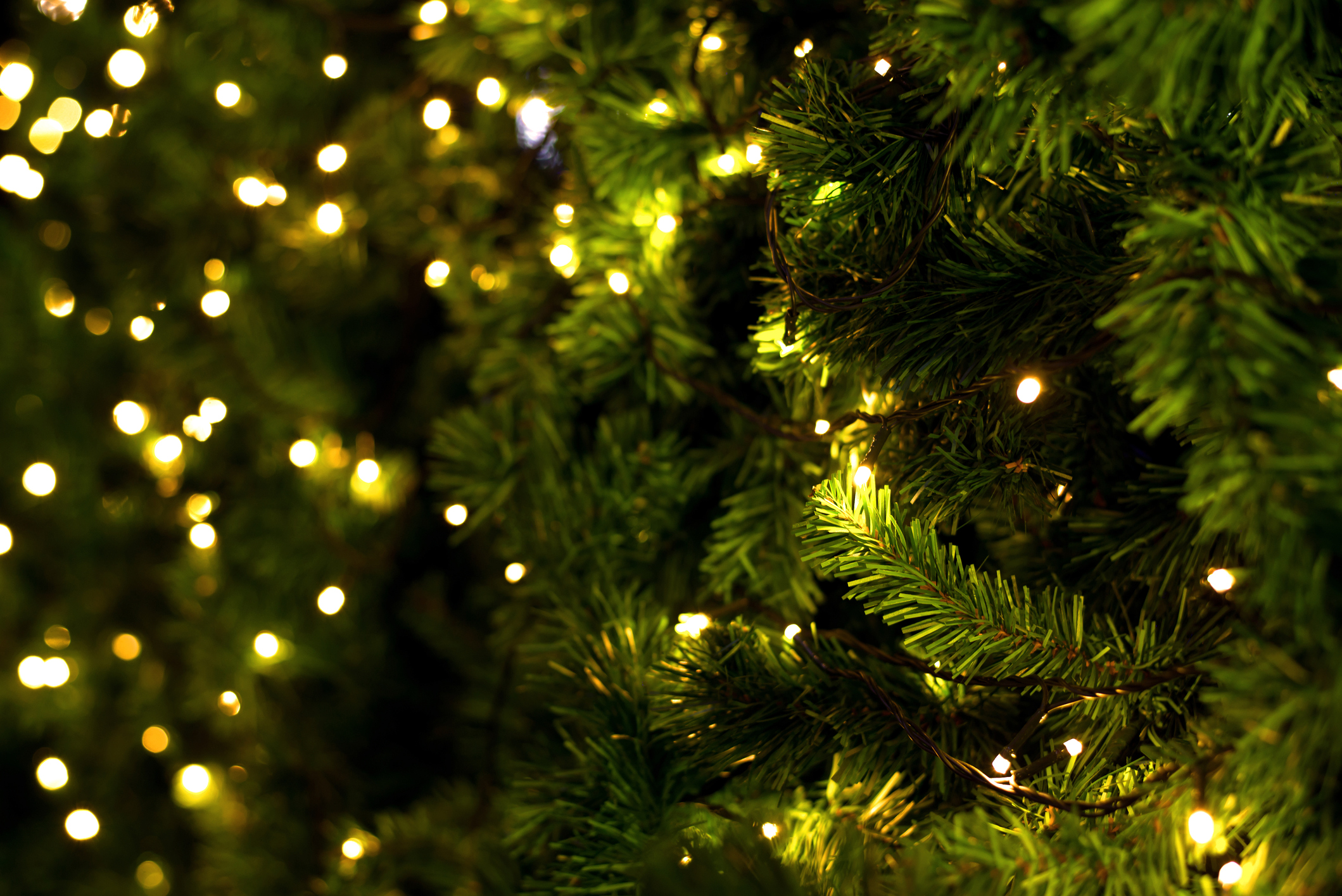 Christmas Tree Shops Launches Liquidation Sales