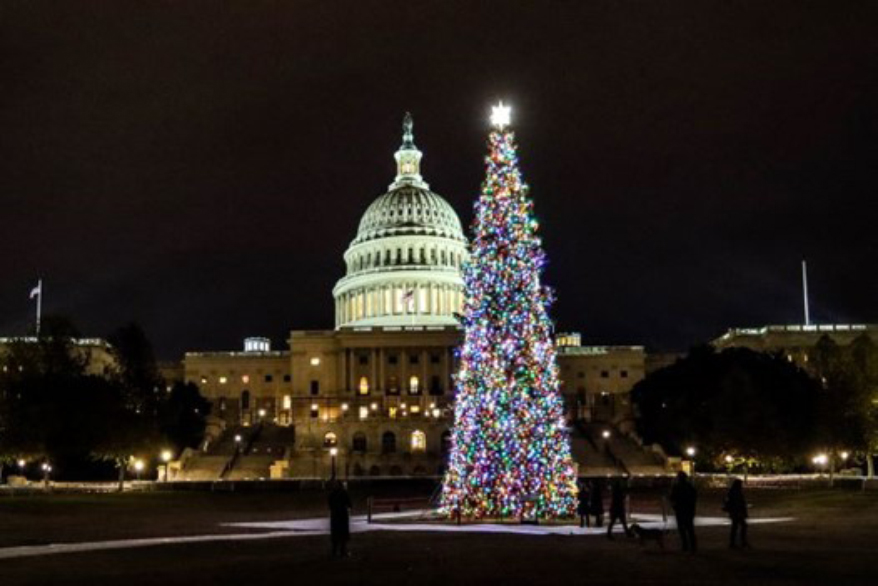US Capitol Christmas Tree Prior Year