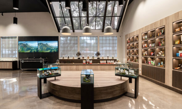 Blazing New Trails: The Future of Cannabis Retail