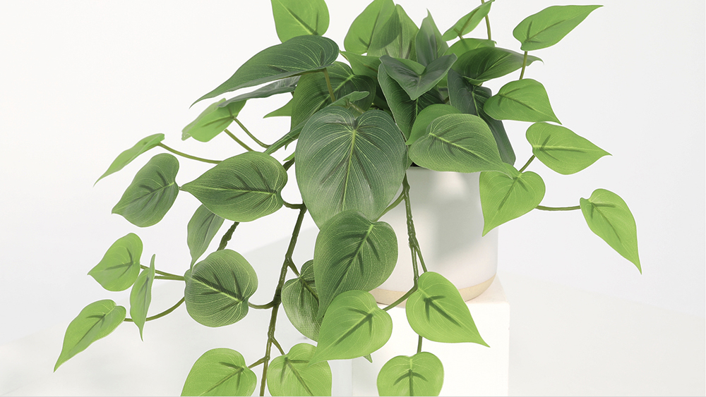 Mannequins and Forms, Props/Decoratives Products for Our July/August