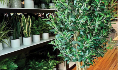 Schwam Sourcing Group Nature-Inspired Custom Trees