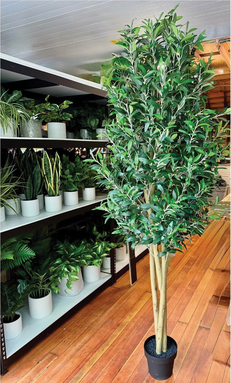 Schwam Sourcing Group Nature-Inspired Custom Trees