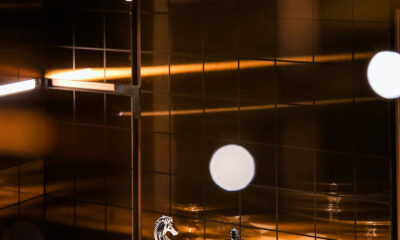 LS Lighting Corp. Avior