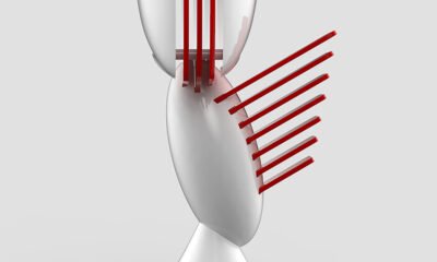 Look Book: Making a Statement