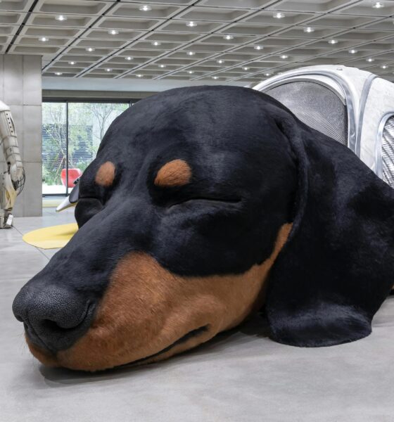 Surreal Spaces: Blurring the Lines of Art and Retail