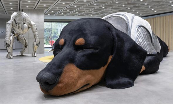 Surreal Spaces: Blurring the Lines of Art and Retail