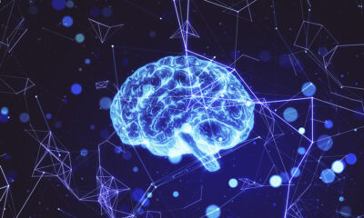 Start With the Brain