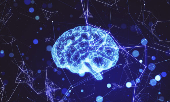 Start With the Brain